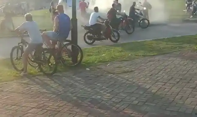 Denuncian picadas en Berazategui: "Ya avisamos al municipio pero parece que están esperando que se muera alguien"