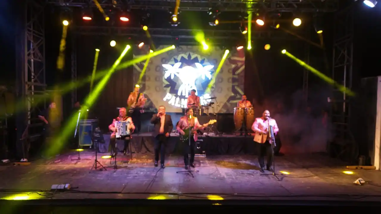 los palmeras otra