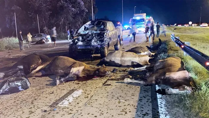 accidente caballos - 2