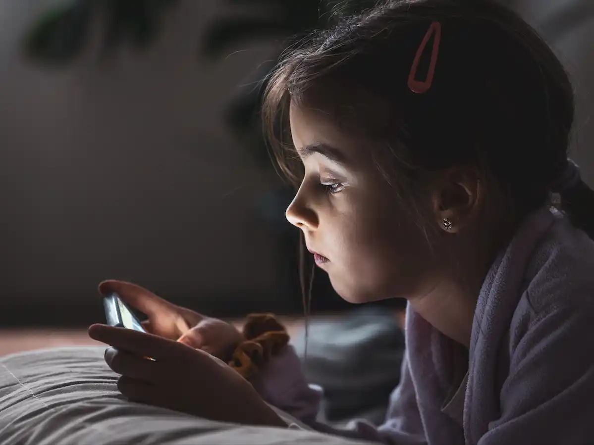 El sistema funcionará como un intermediario seguro.