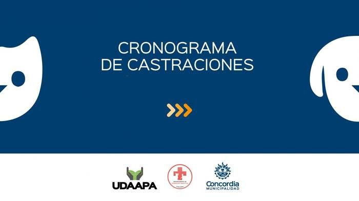 Cronograma  de castraciones para los  barrios de  Concordia
