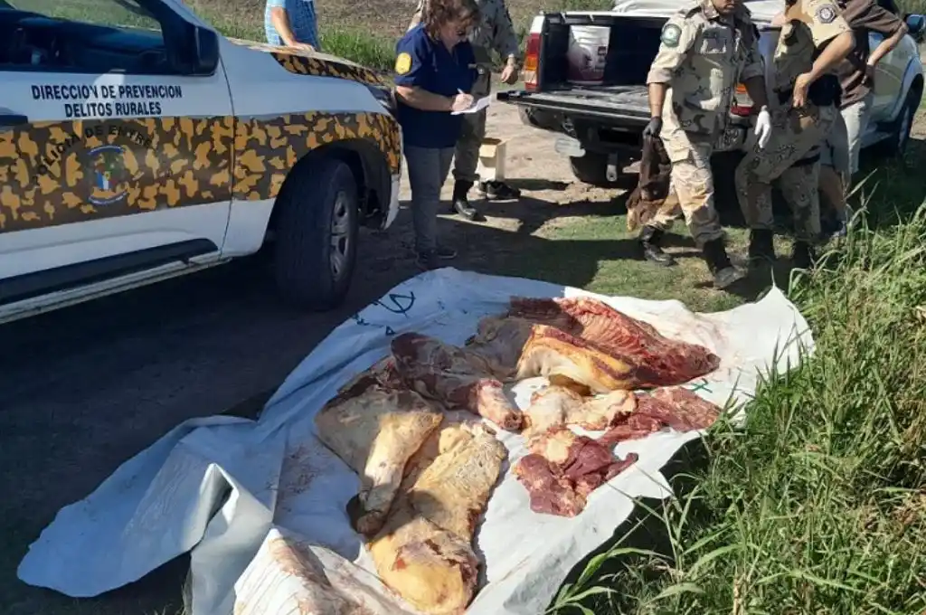 Paraná: simuló ser policía Federal, intentó evadir el control policial y encontraron que llevaba media res vacuna