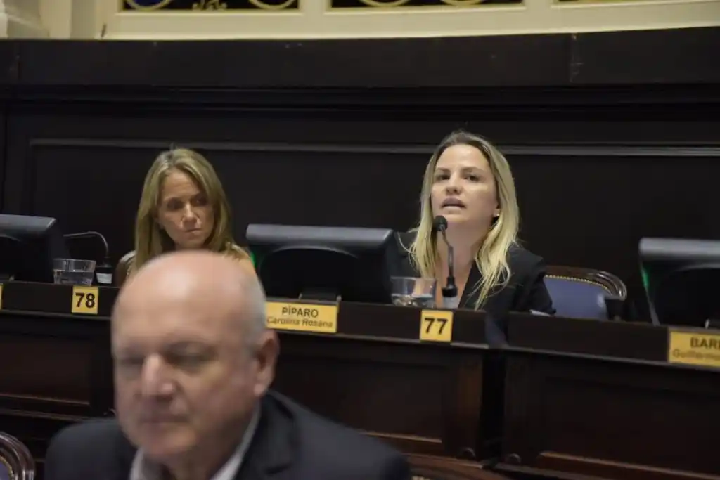 Píparo: "Que el Gobierno siga midiendo porque los problemas no se solucionan mintiendo"
