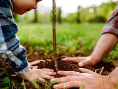 Conciencia ambiental en argentina: reflexion sobre cómo habitar el planeta