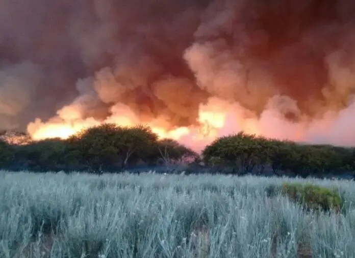 Siguen los incendios en el Parque Nacional Lihué Calel