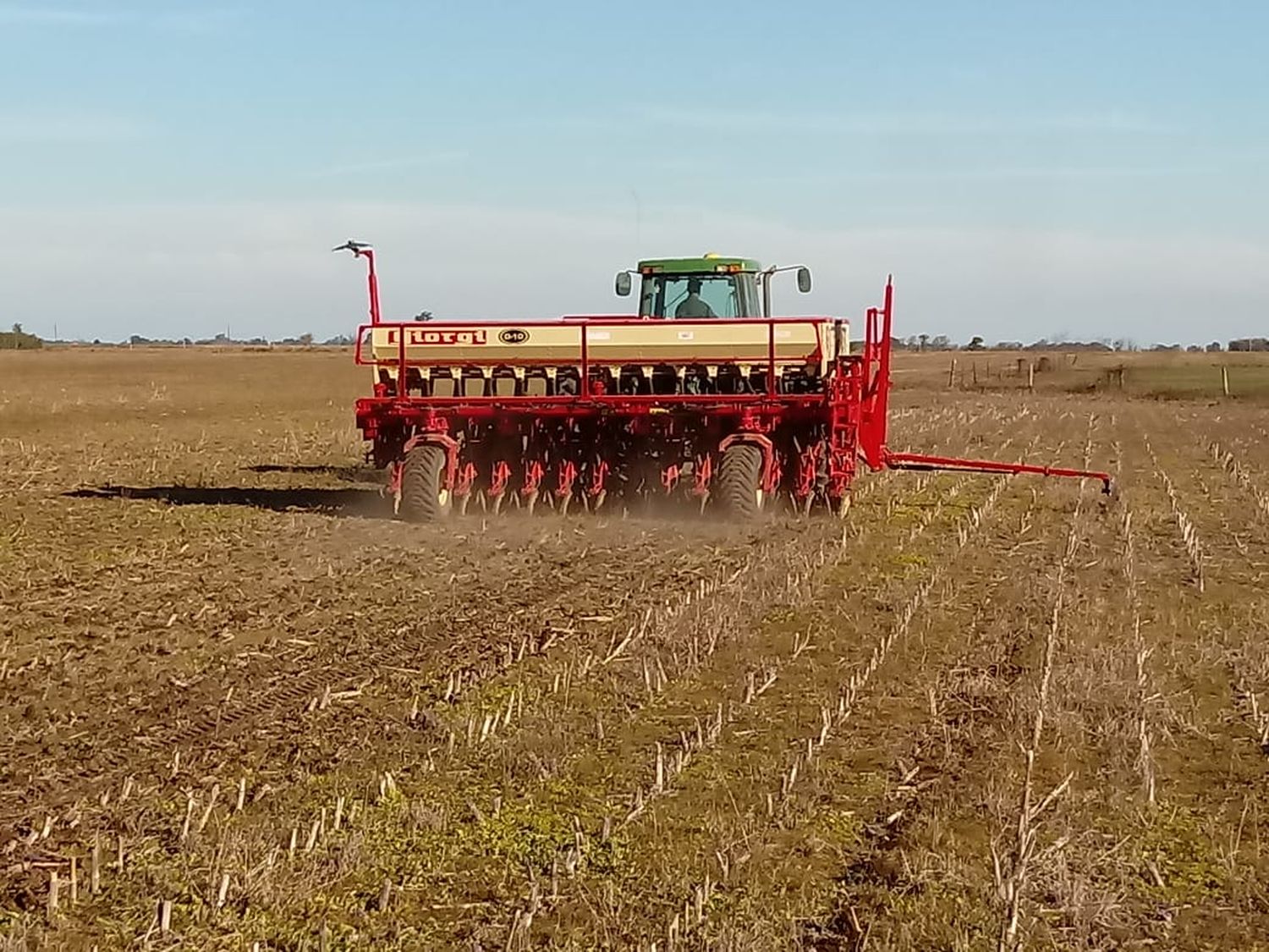 Se reanudó la cosecha de trigo: se obtendrían más de 1.150.000 toneladas