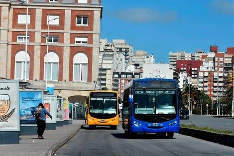 Foto: Archivo.