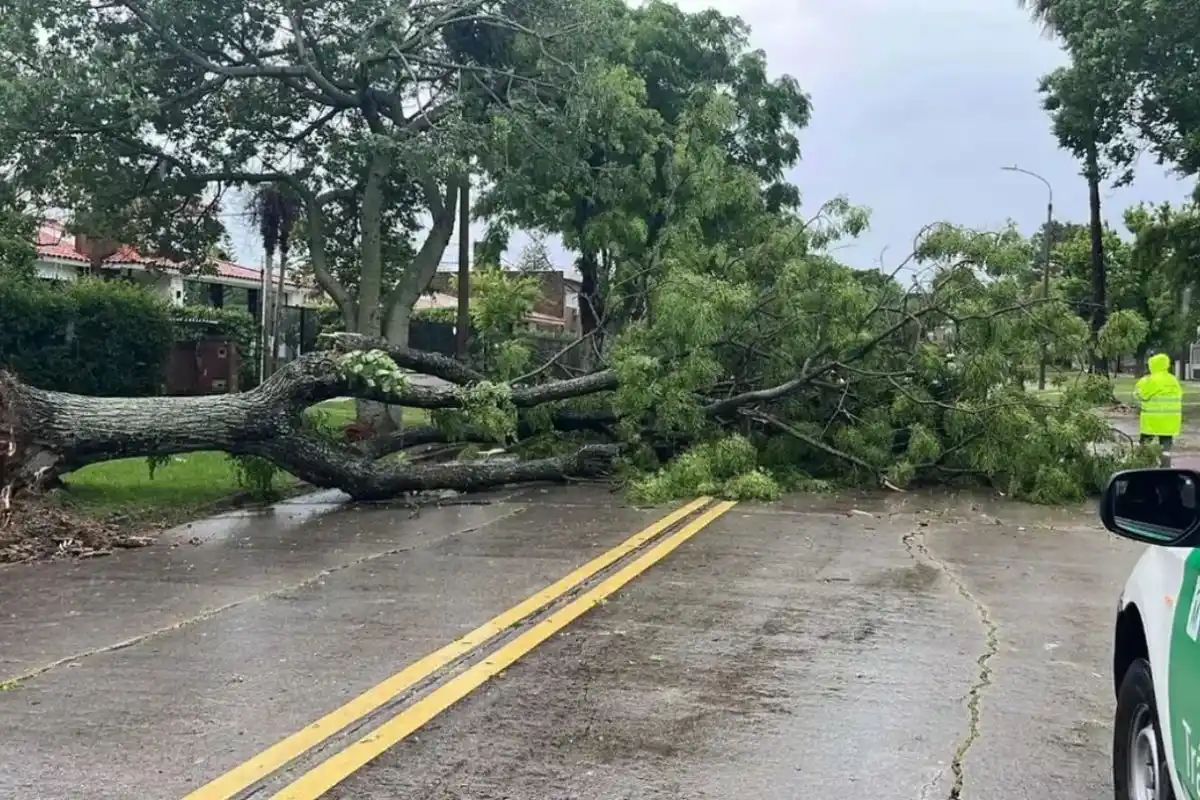 Un joven de 19 años circulaba con su moto por la Ruta 1, a la altura del kilómetro 129.
