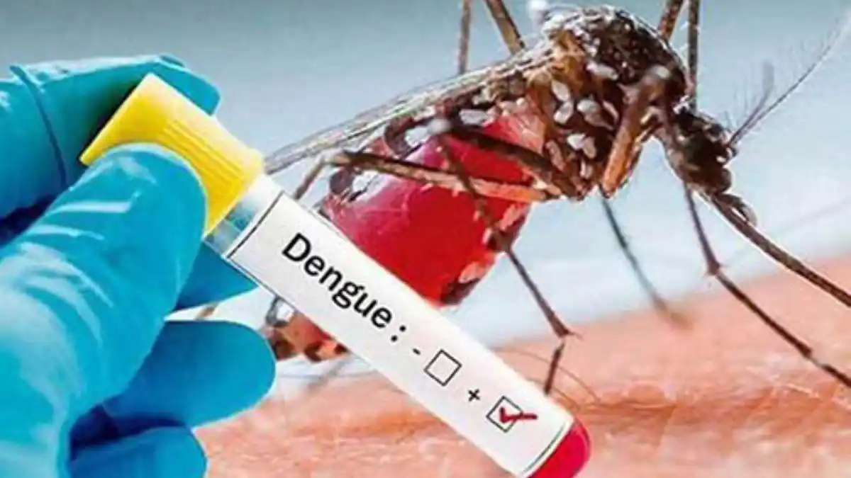 TEMPORADA DE LLUVIAS CON DENGUE: Táchira se prepara ante brote mundial