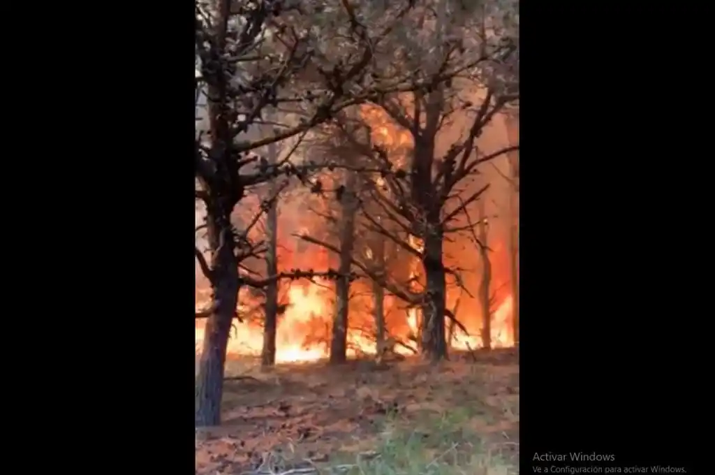 Uruguay: bomberos combaten varios focos de incendios