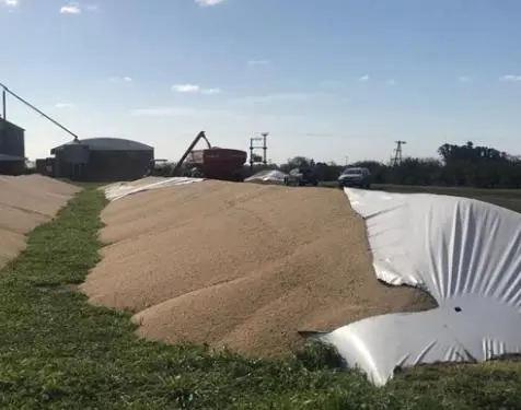 Etchevehere repudió la rotura de silobolsas en los campos