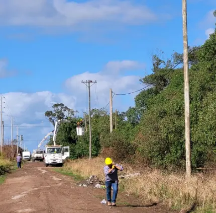 Robaron más de 600 metros de la red de cable eléctrico