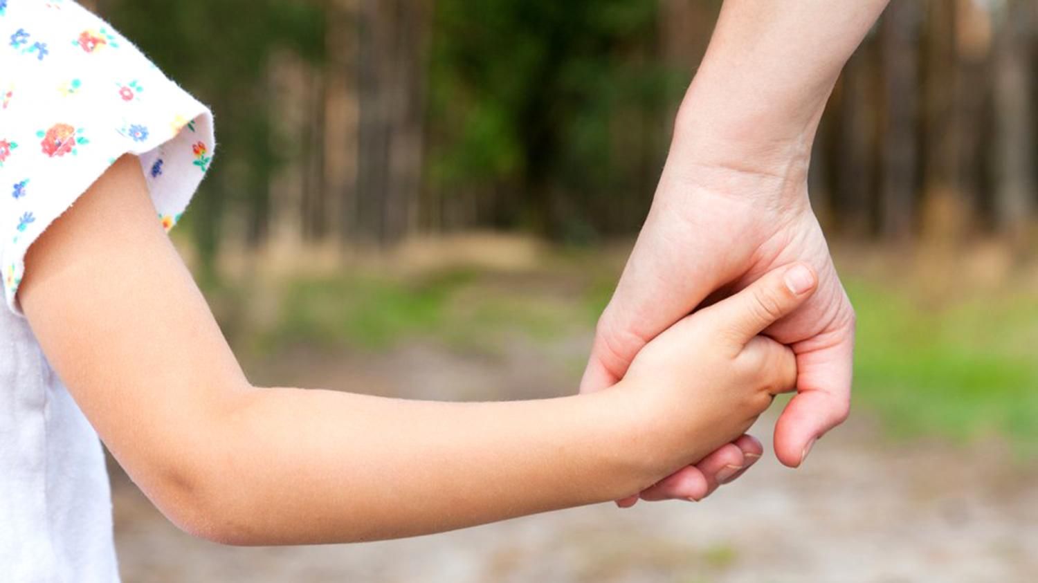 Desde su creación, el RUAER otorgó más de 500 guardas con fines adoptivos