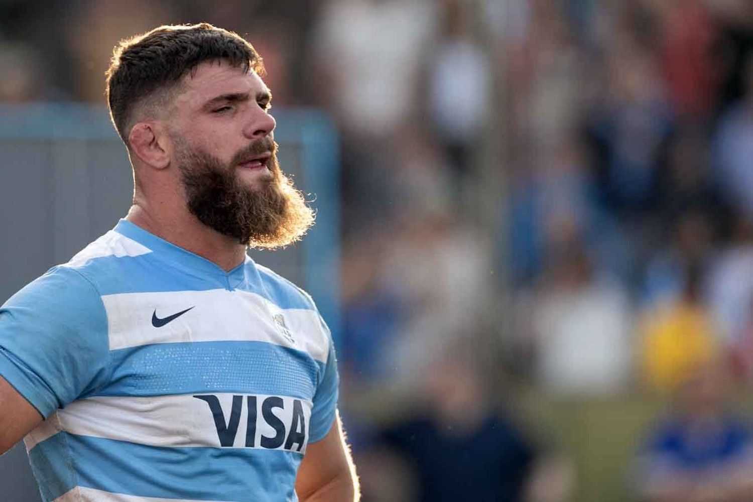 Los Pumas confirmaron equipo para enfrentar a Sudáfrica en el Rugby Championship