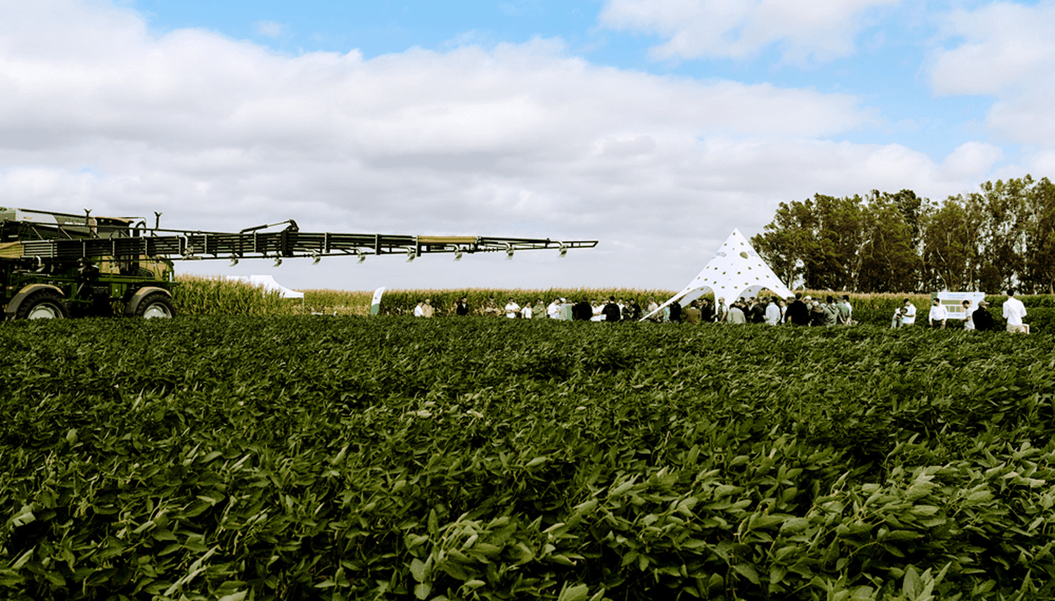 Semillas y estrategias de nutrición: la mayor red de servicios para el agro inicia sus jornadas 2024