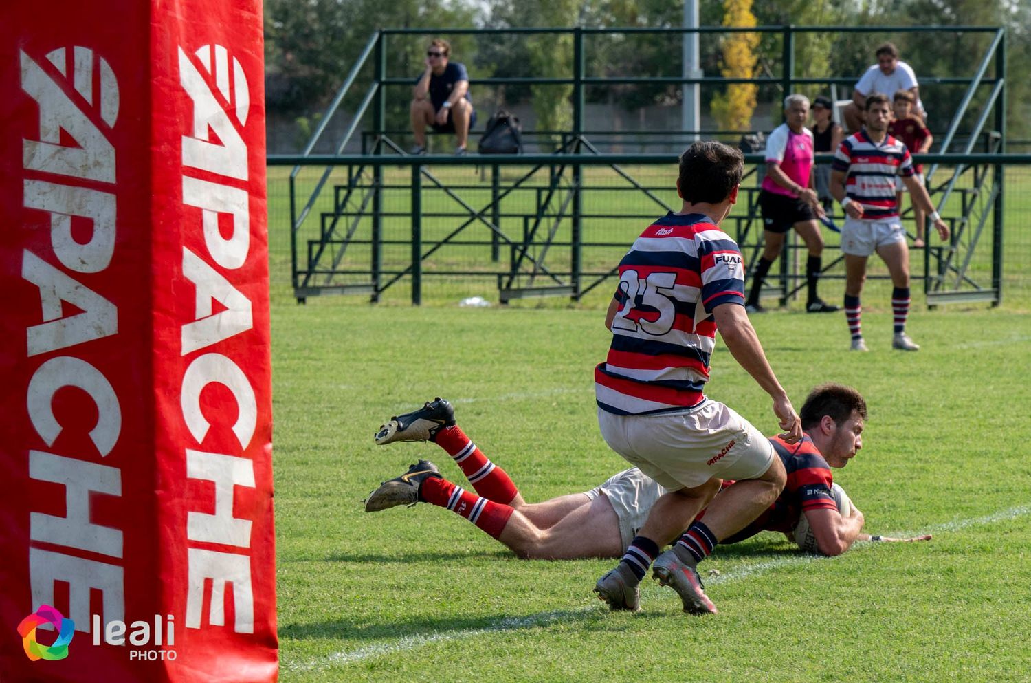 Jockey - 1