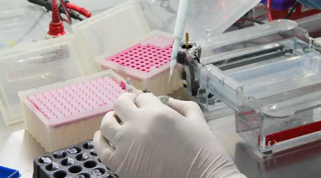 Coronavirus: confirman 41 nuevos casos