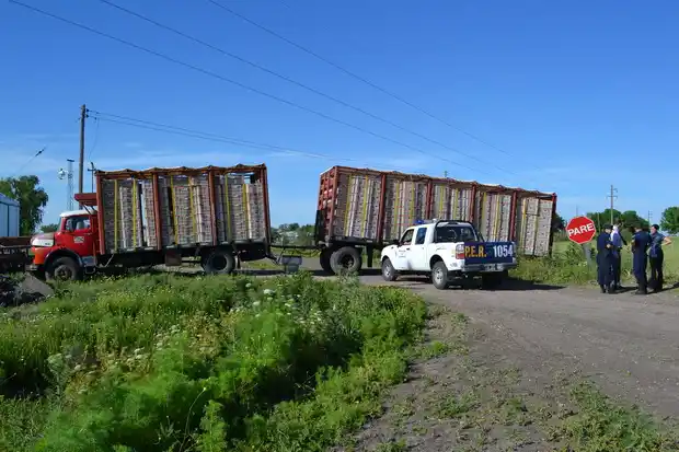 Un camionero murió al volante en la Ruta 16