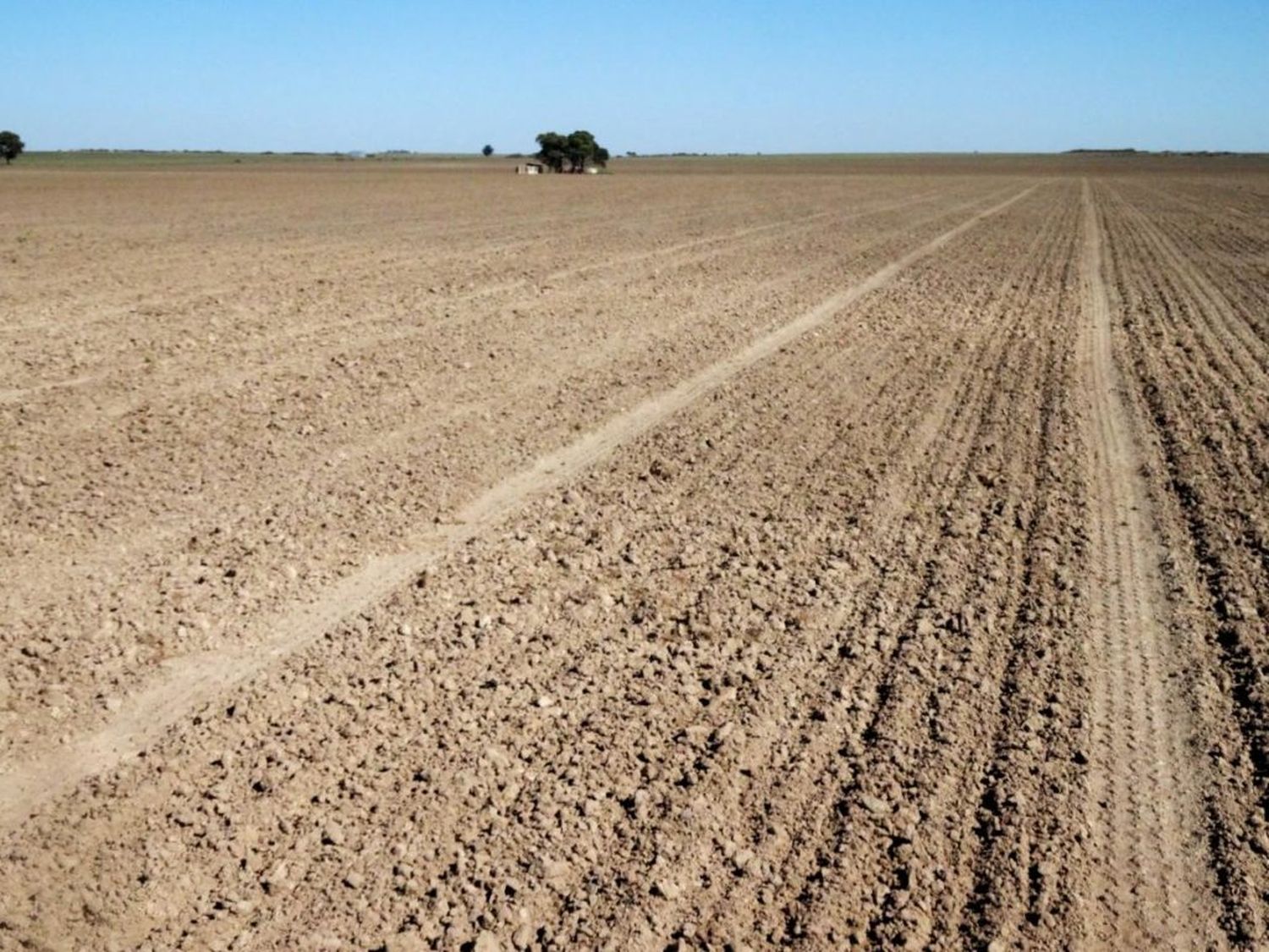 Sequía: Senador de la sexta manifestó su preocupación por la situación del campo en el sudoeste bonaerense