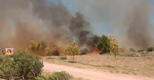 Coronel Rosales: intentan controlar importante incendio en Pehuen Co