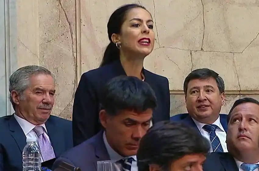 Una diputada electa de Cambiemos irrumpió en el Congreso y le hizo un reclamo a Macri