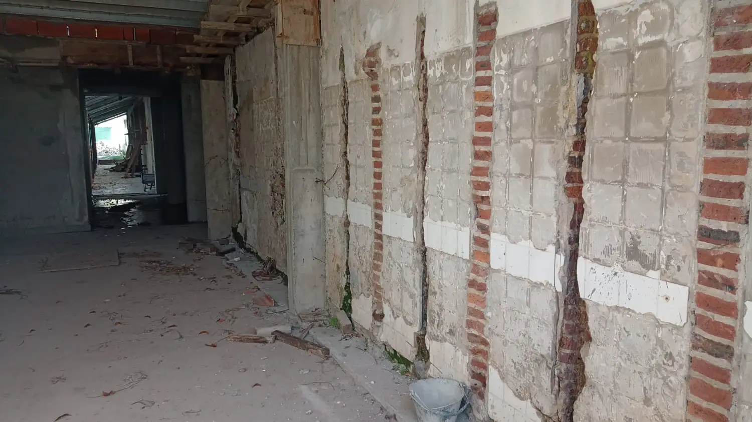 El estado de abandono es total (3)