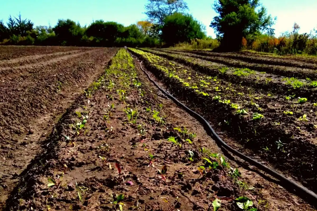 La Municipalidad avanza en herramientas para emprendedores locales