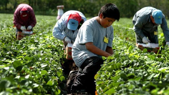Lucha contra el trabajo infantil: la Provincia participó de un Encuentro Federal con el foco en su erradicación
