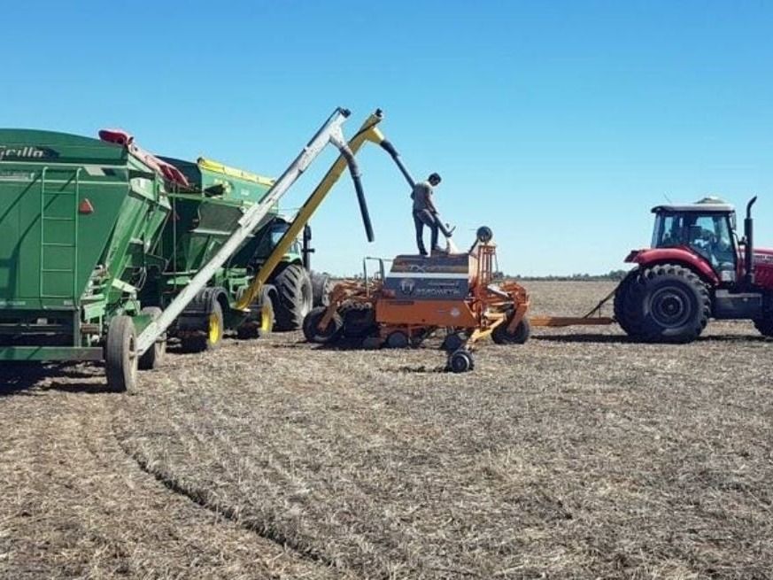 Con clima seco y heladas, el trigo ya cubre el 90 % del área de intención en región núcleo.