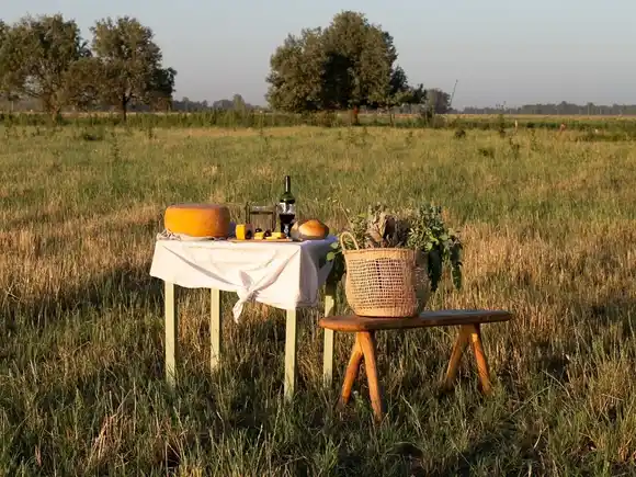 “Suipacha Gourmet": Llega el primer encuentro gastronómico de quesos y vinos de Provincia de Buenos Aires