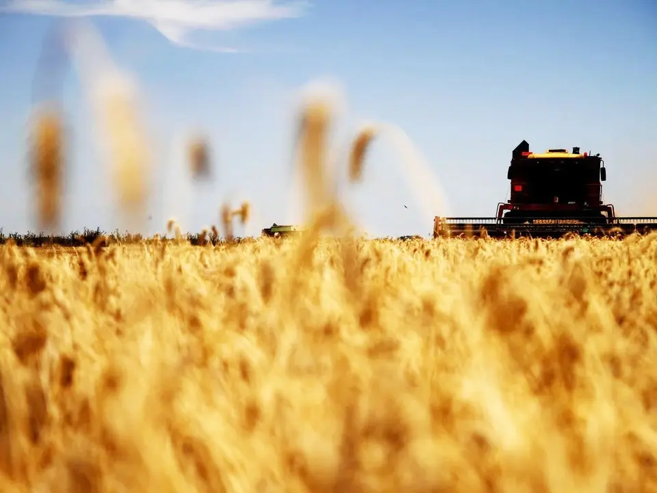 Nuevo récord del agro: en enero exportó productos por más de USD 4 millones