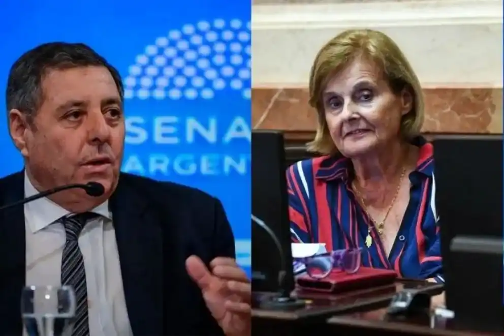 Olalla y De Angeli integran la lista de los legisladores nacionales que más proyectos presentaron en 2025