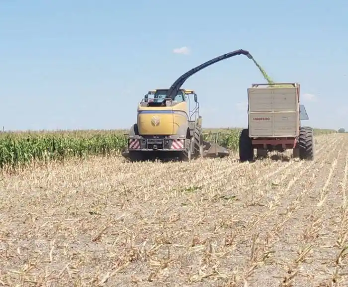 Aseguran que la sequía que atraviesa la provincia es  similar a la de 2008
