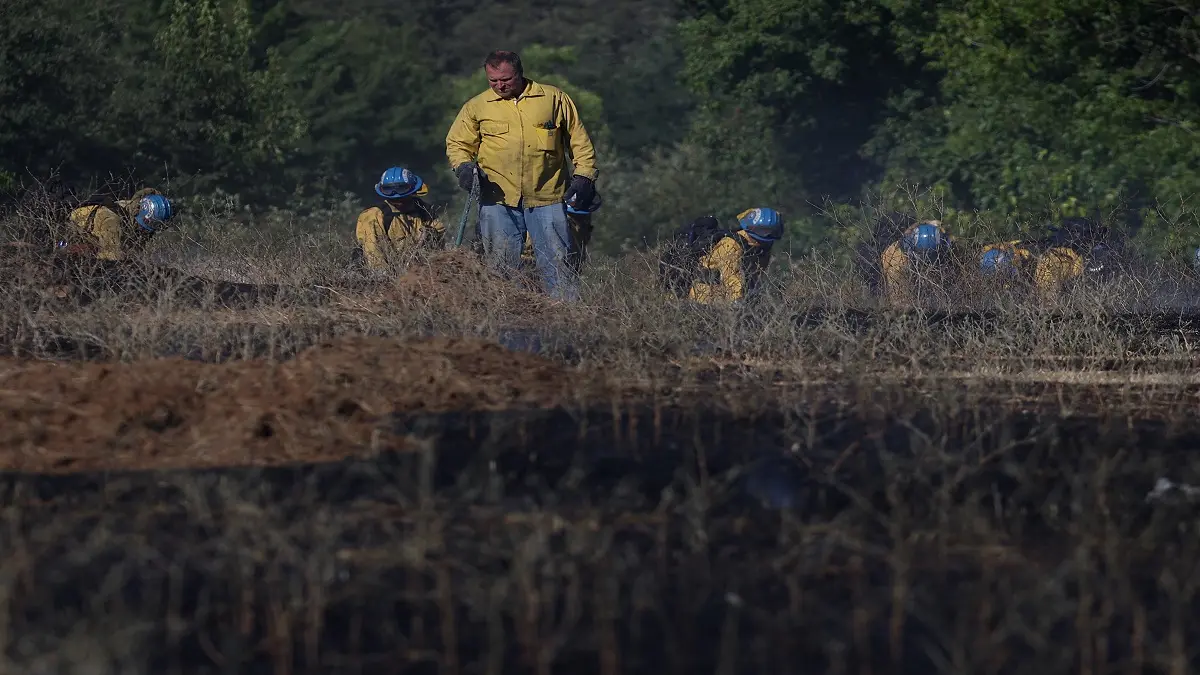 MILES DE PERSONAS DEBEN ABANDONAR SUS HOGARES por incendio fuera de control en California