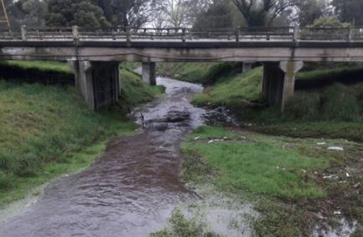 Cooperativistas mostrarán el trabajo que realizan en la limpieza de arroyos