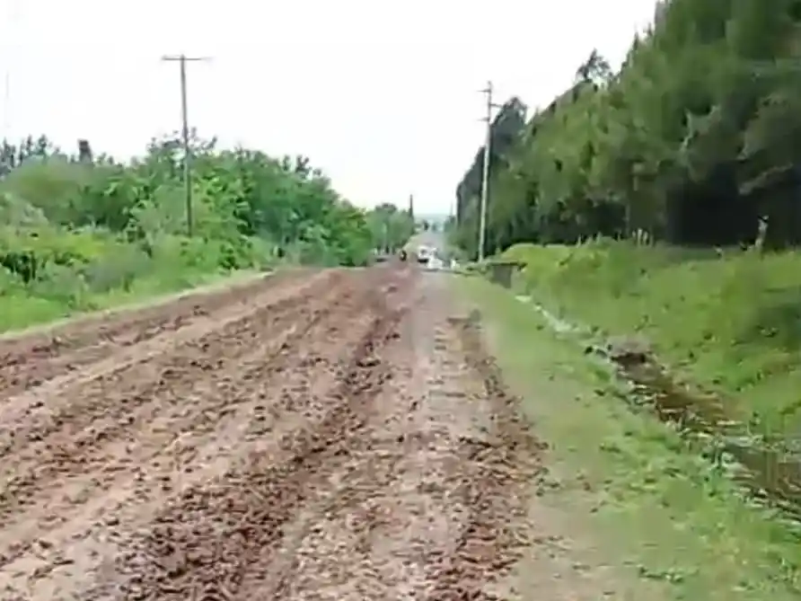 bajo tala camino barro