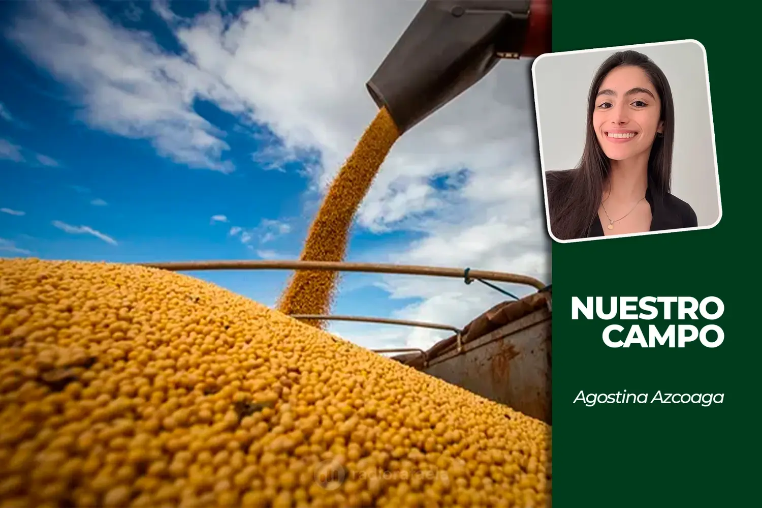 NUESTRO CAMPO | Mercado de granos: las bajas internacionales tuvieron menor impacto en Argentina