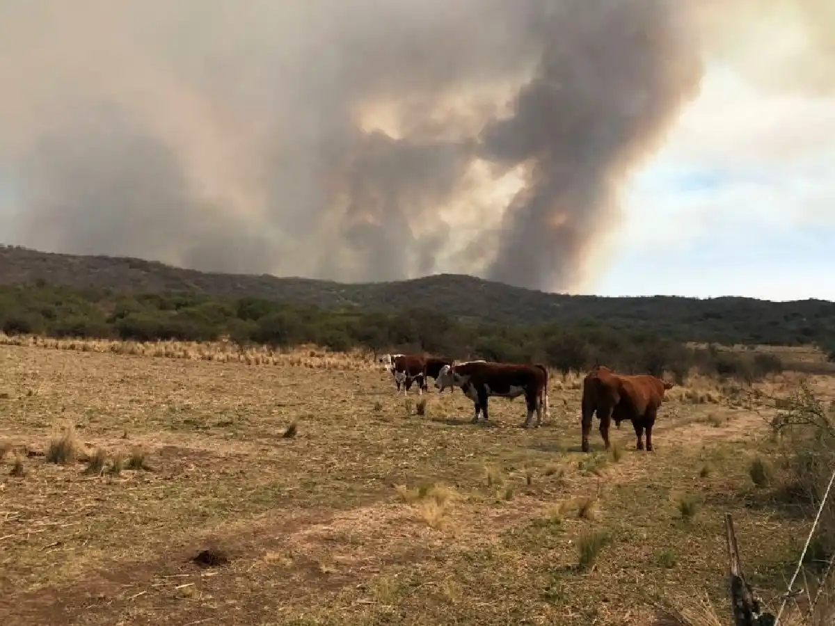 Incendios: la Provincia asiste al norte cordobés