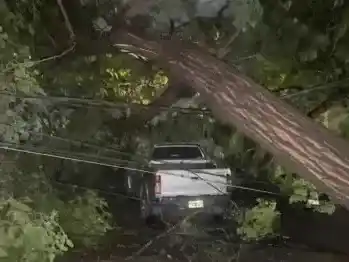Defensa Civil confirmó que se registraron más de 360 incidencias debido al desborde de cauces y canales, árboles caídos y cortes de luz.