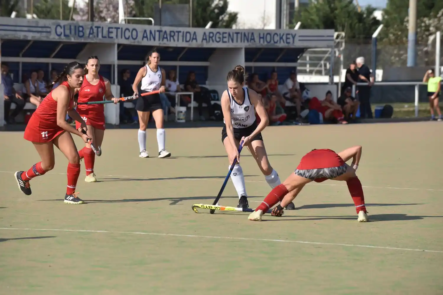 Las "pingüinas" juegan el último partido