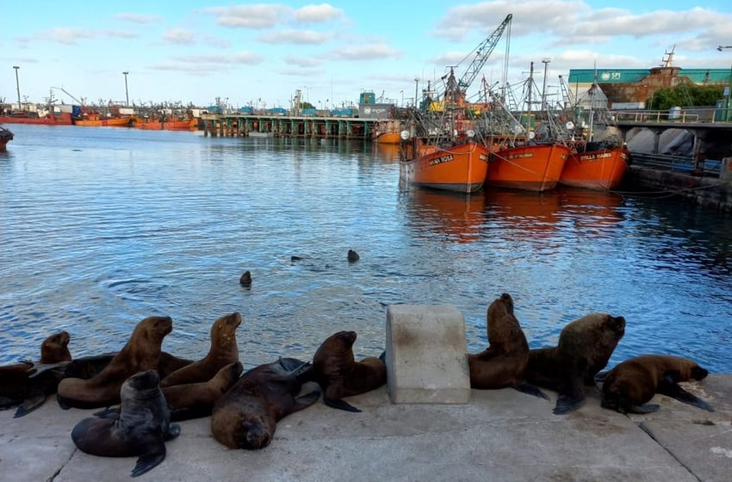 Mercados Bonaerenses llega a la Banquina de los Pescadores