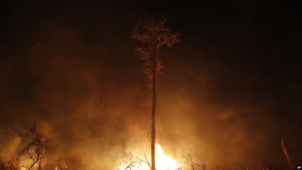 Los incendios en el Amazonas plantean riesgos para la salud de los niños indica la OMS