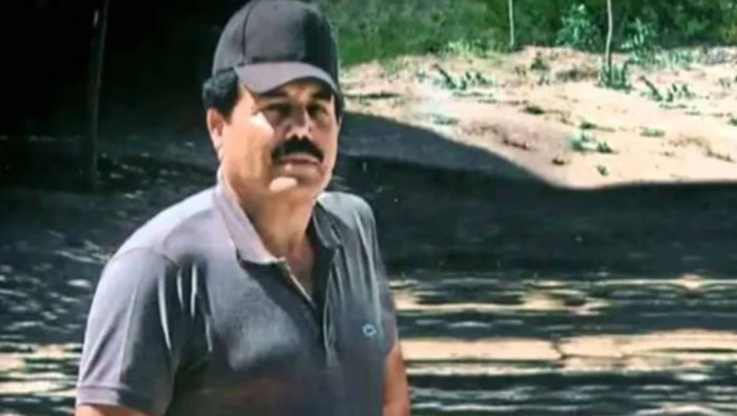 «Mayo» Zambada y un hijo del Chapo fueron detenidos en EE.UU.