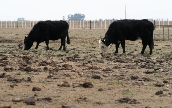 Pedido de prórroga del estado de Emergencia por sequía para Tres Arroyos