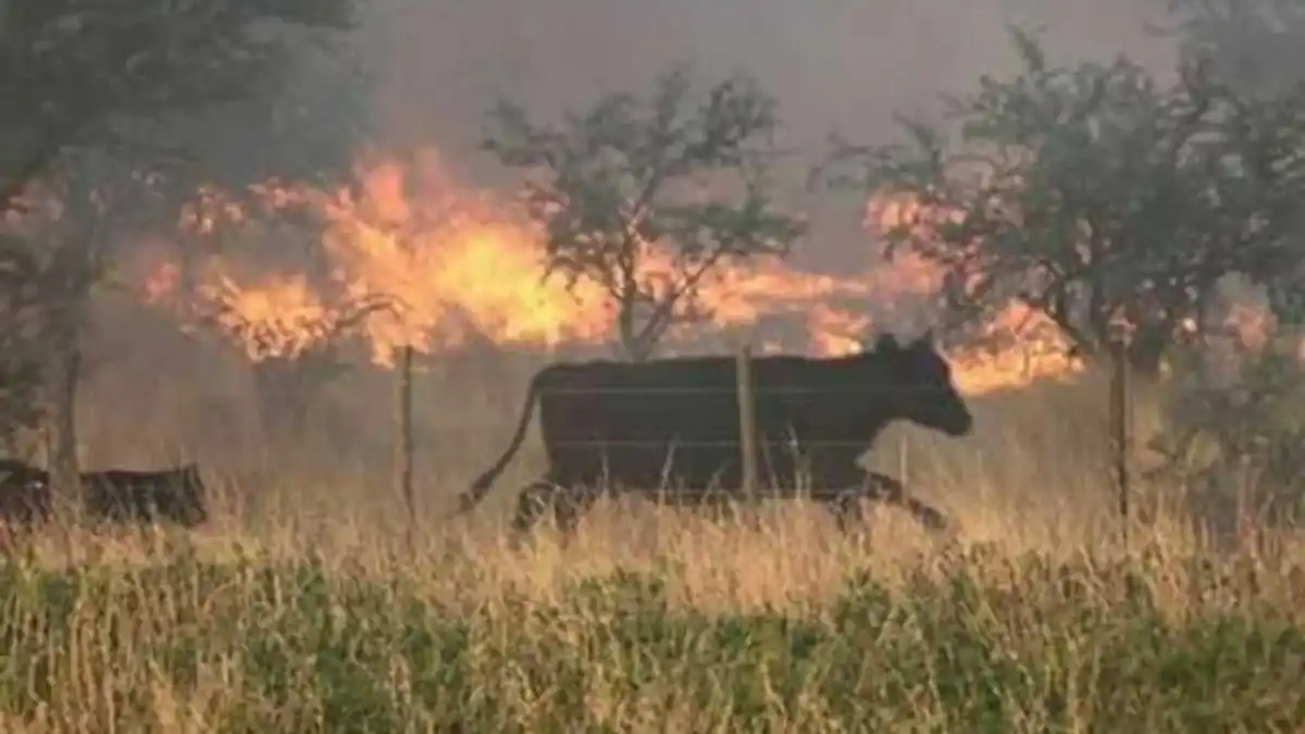 Encuentro sobre prevención de incendios en el ámbito rural