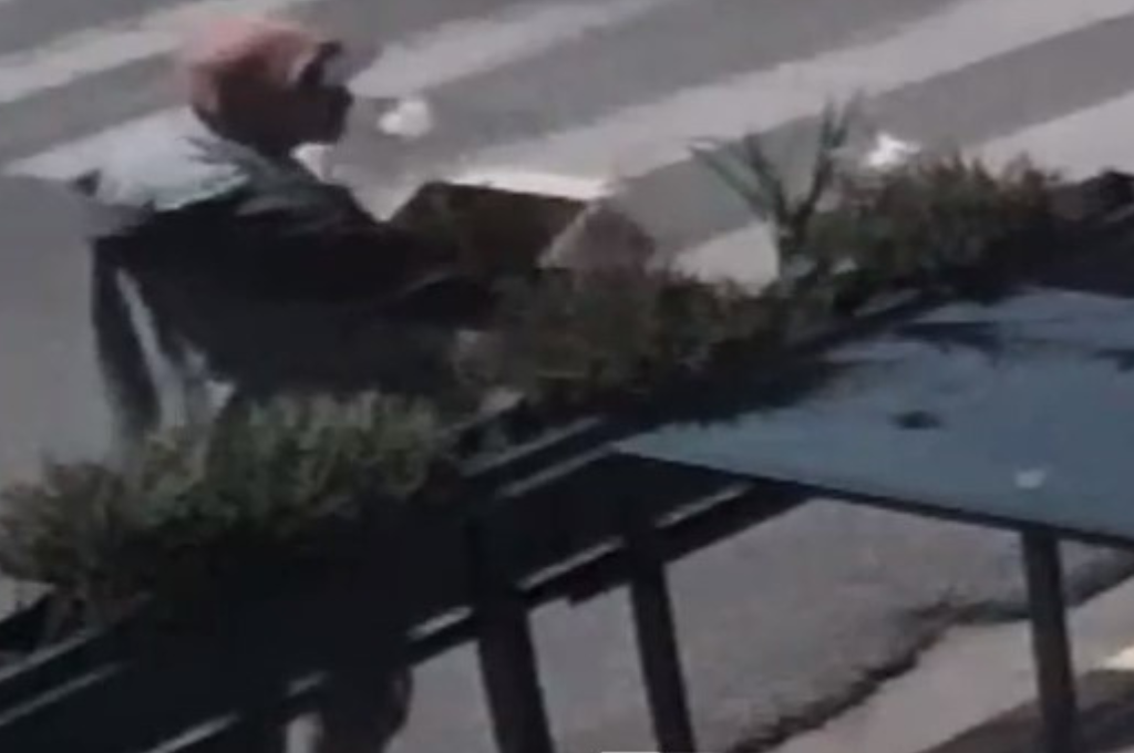 Las plantas, junto con sus macetas, habían sido colocadas en el exterior del bar el miércoles