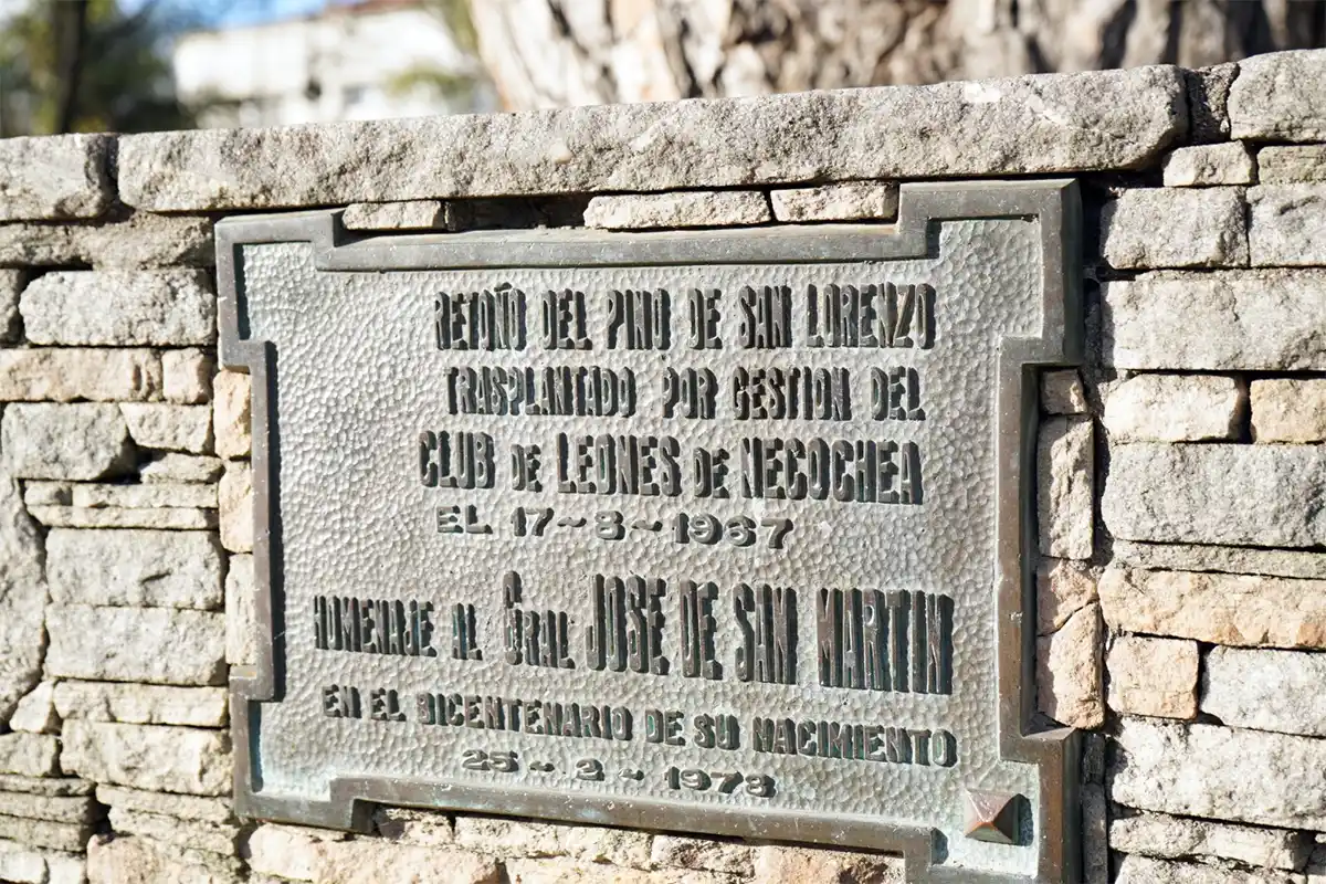 Placa