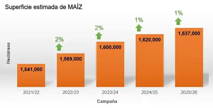 bcp maiz 25 26