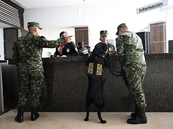 Perros terapeutas ayudan a soldados heridos en un hospital de Colombia