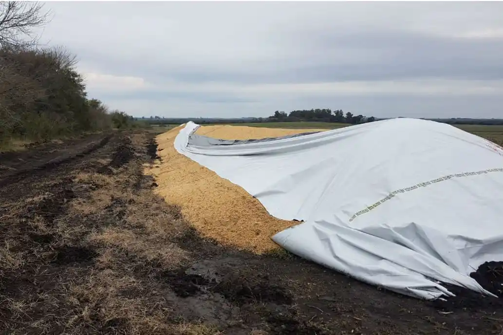 Reclamo de Rotman al gobierno, por la destrucción de los silos bolsa